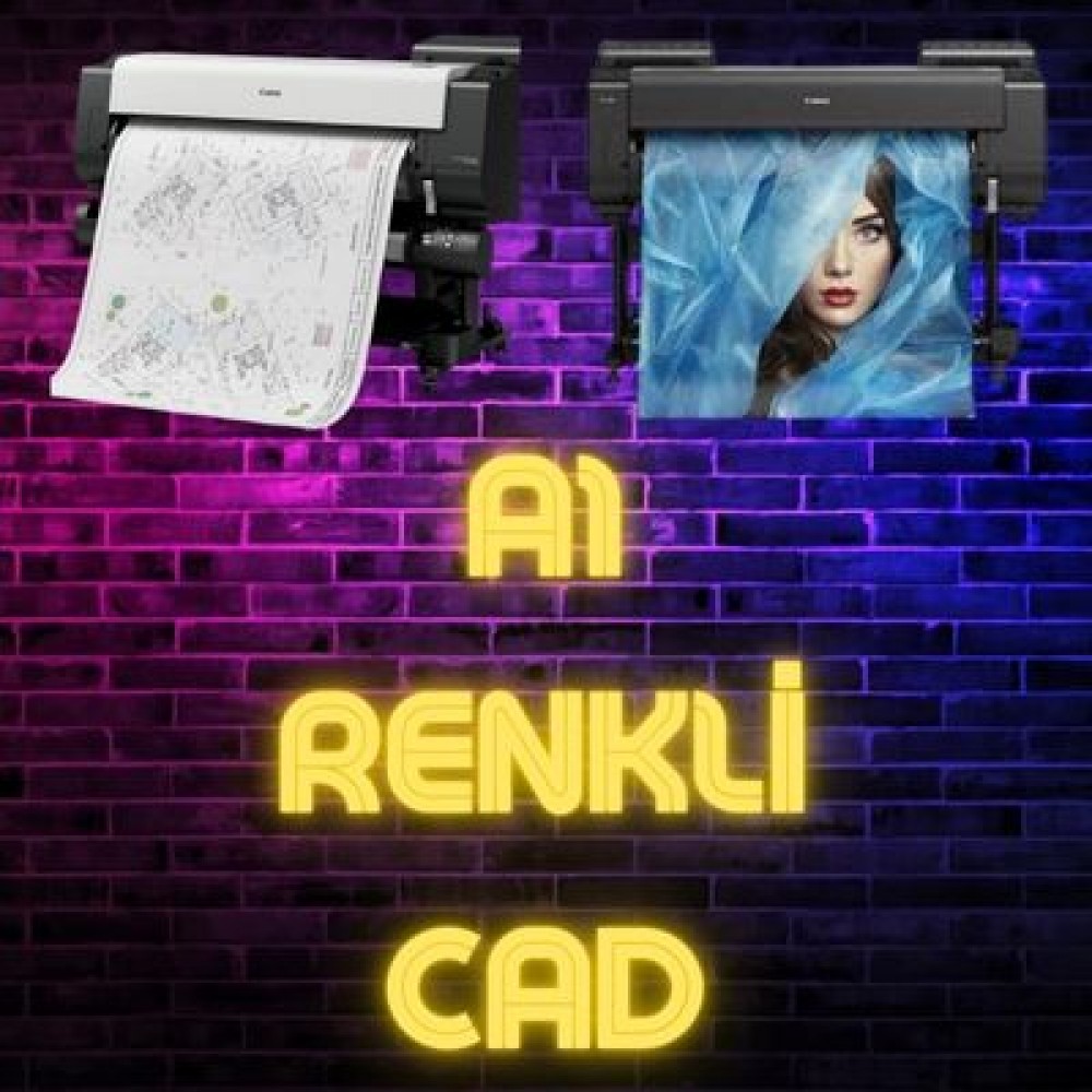 A1 RENKLİ Cad Baskısı